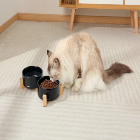 M_PETS_10553899_OPERA_Ceramic_Bowl_2x350_BLACK_Lifestyle_Cat