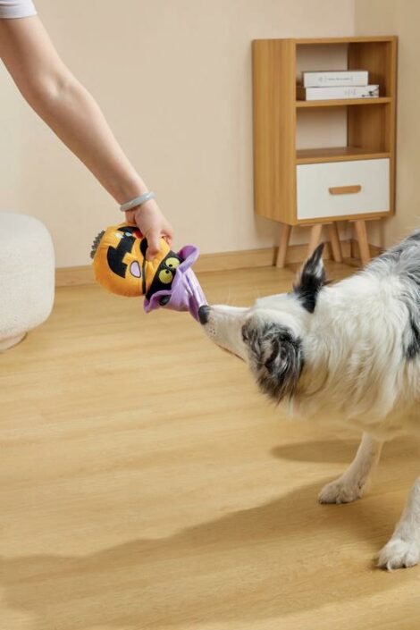 M-PETS_10658899_Halloween SNACK ATTACK Toy_Pumpkin_Lifestyle_Indoor_Dog_VER_CMYK_2