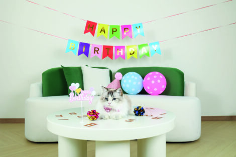 07.M-PETS_20644699_Party time_Lady’s set_CAT_Lifestyle_Indoor_HOR_CMYK