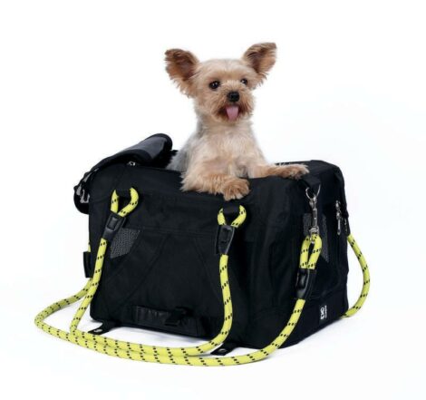 M_PETS_10703799_REMIX_Travel_carrier_Yellow_4