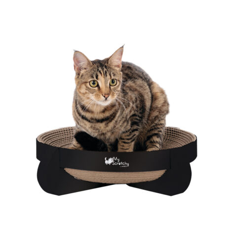 M_PETS_20645299_CLEVELAND_Scratcher_Black_CMYK_V01