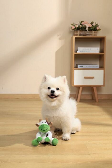 M-PETS_10660799_TERRA Puppy Toy ELLA_Lifestyle_Indoor_Dog_VER_CMYK