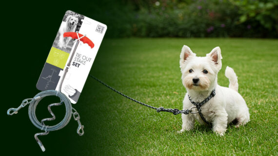 Elevate Your Dog’s Walks with the out stake set  from Pet Barn